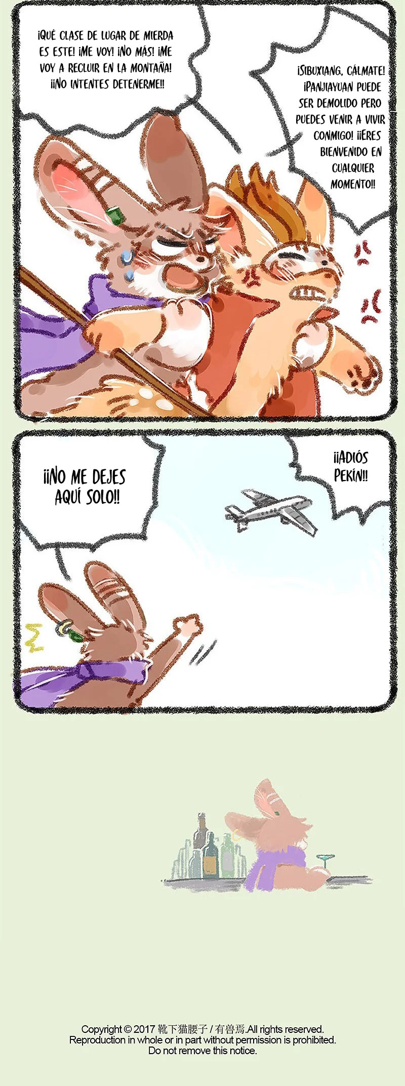 Página 5