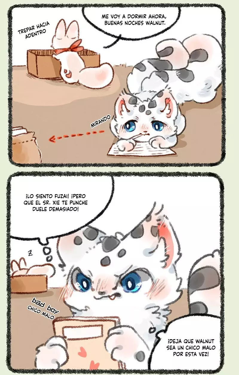 Página 6
