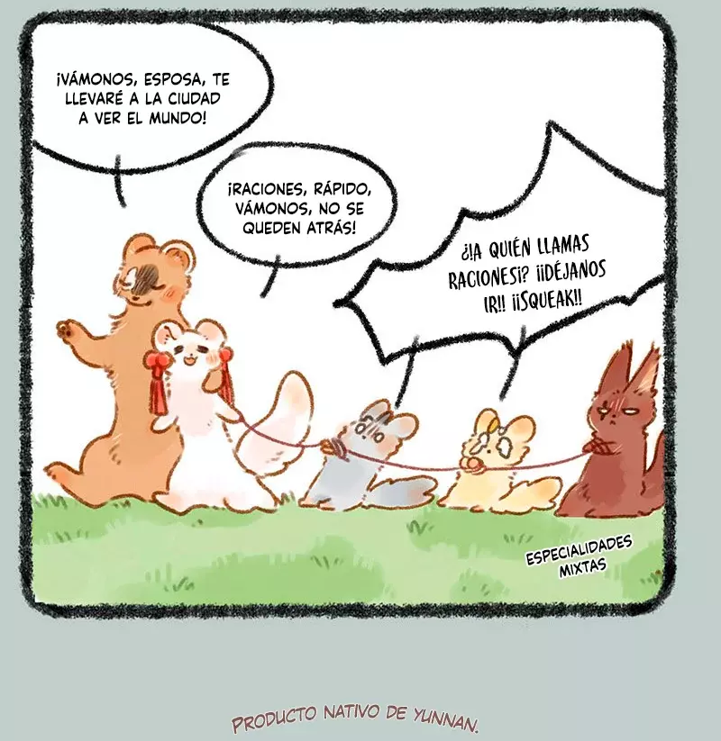 Página 4