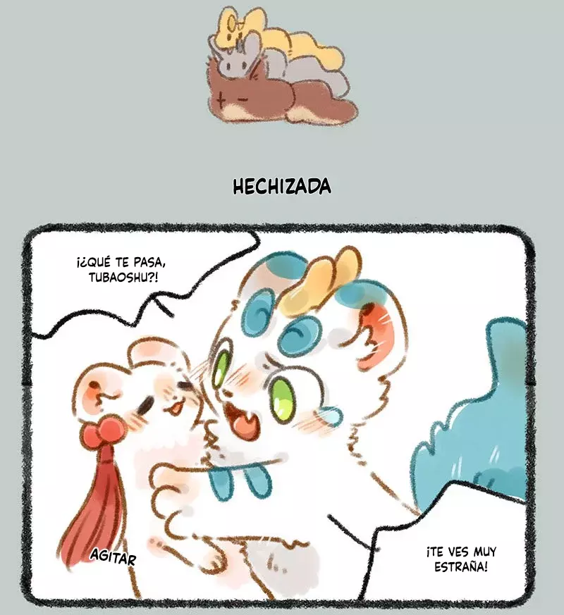 Página 5