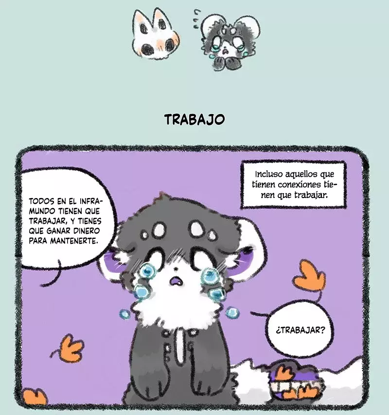 Página 5