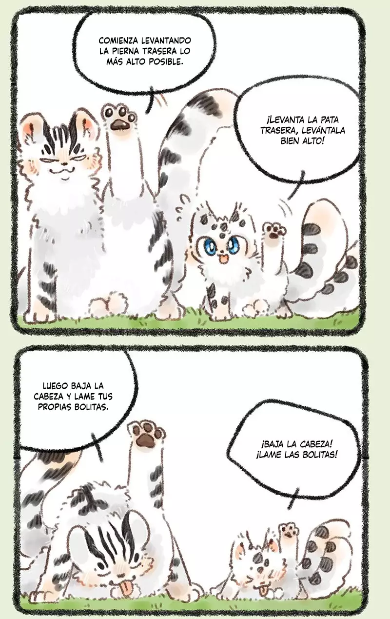 Página 3