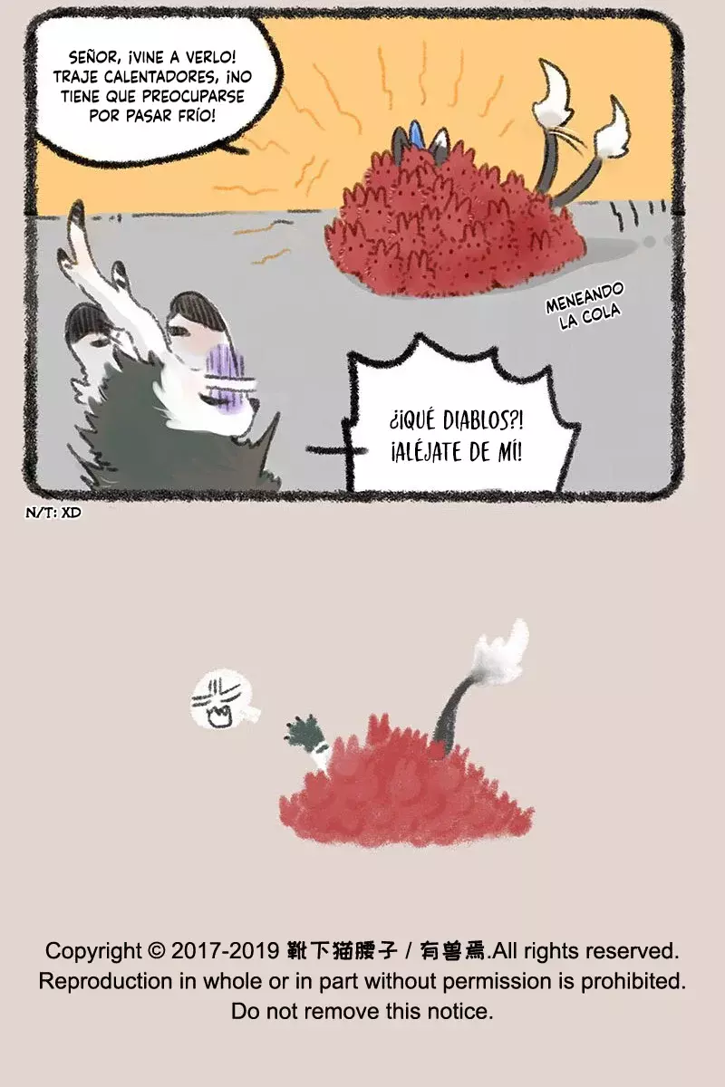 Página 7