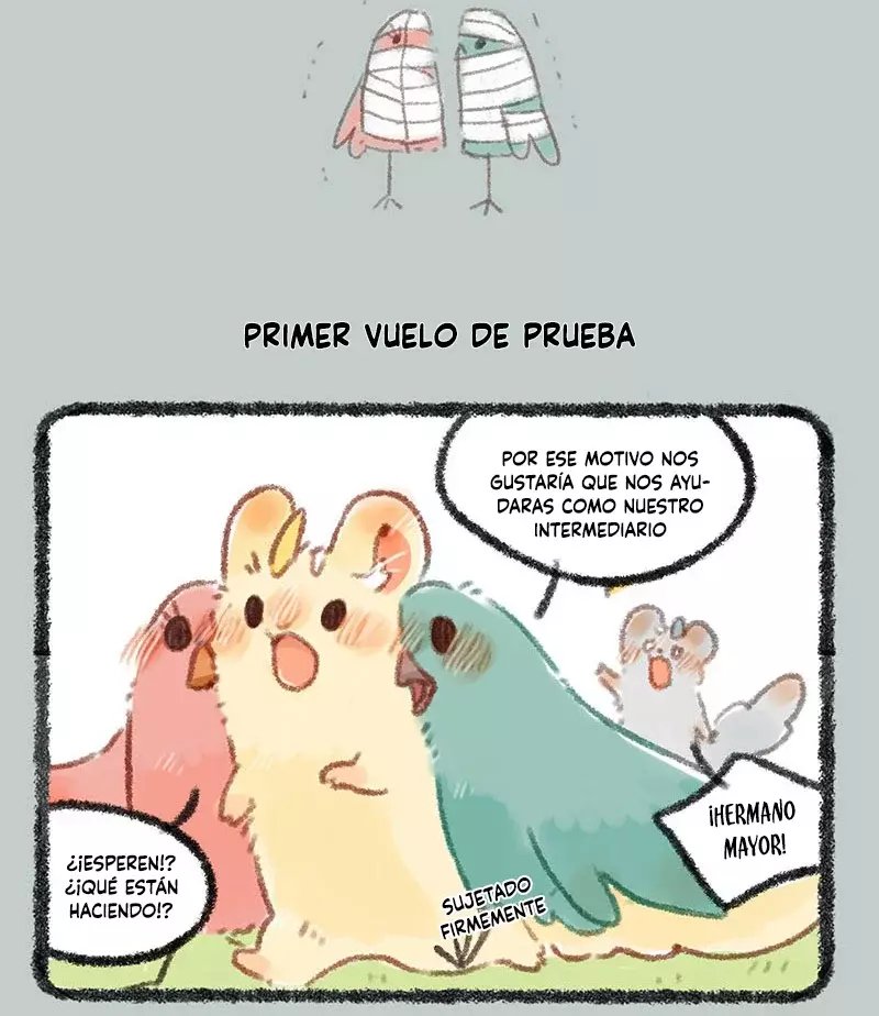 Página 5
