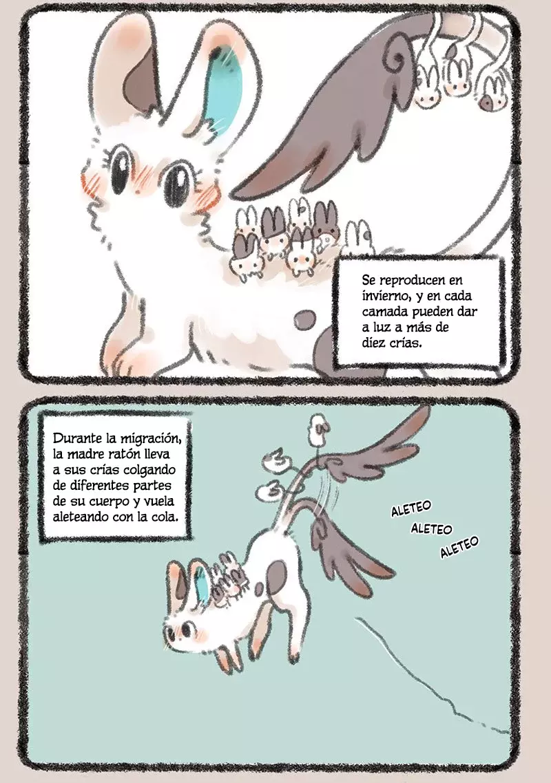 Página 3