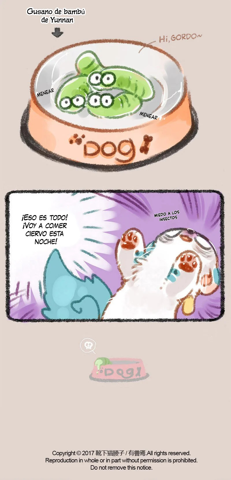 Página 5