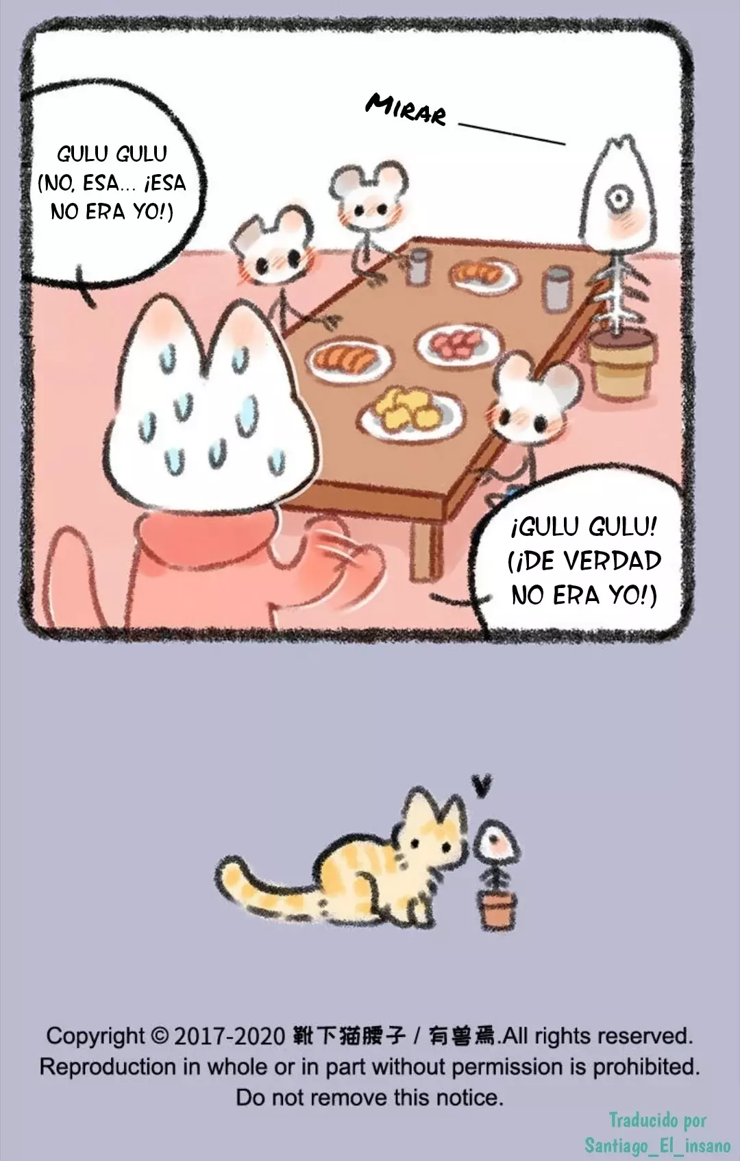 Página 5