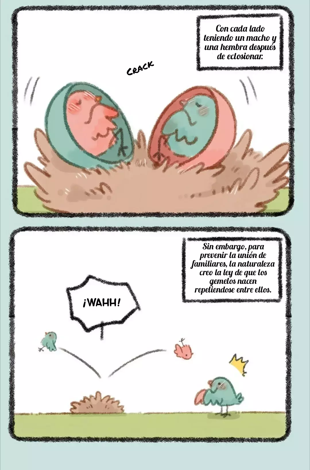 Página 3