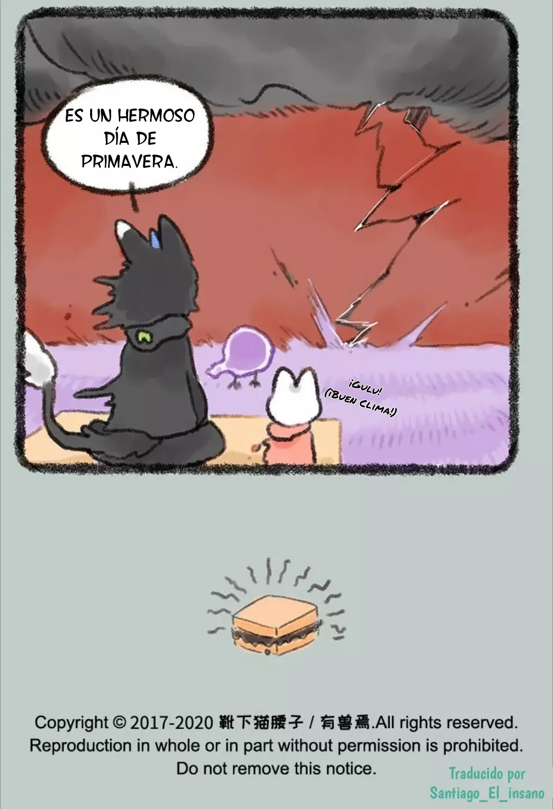 Página 7