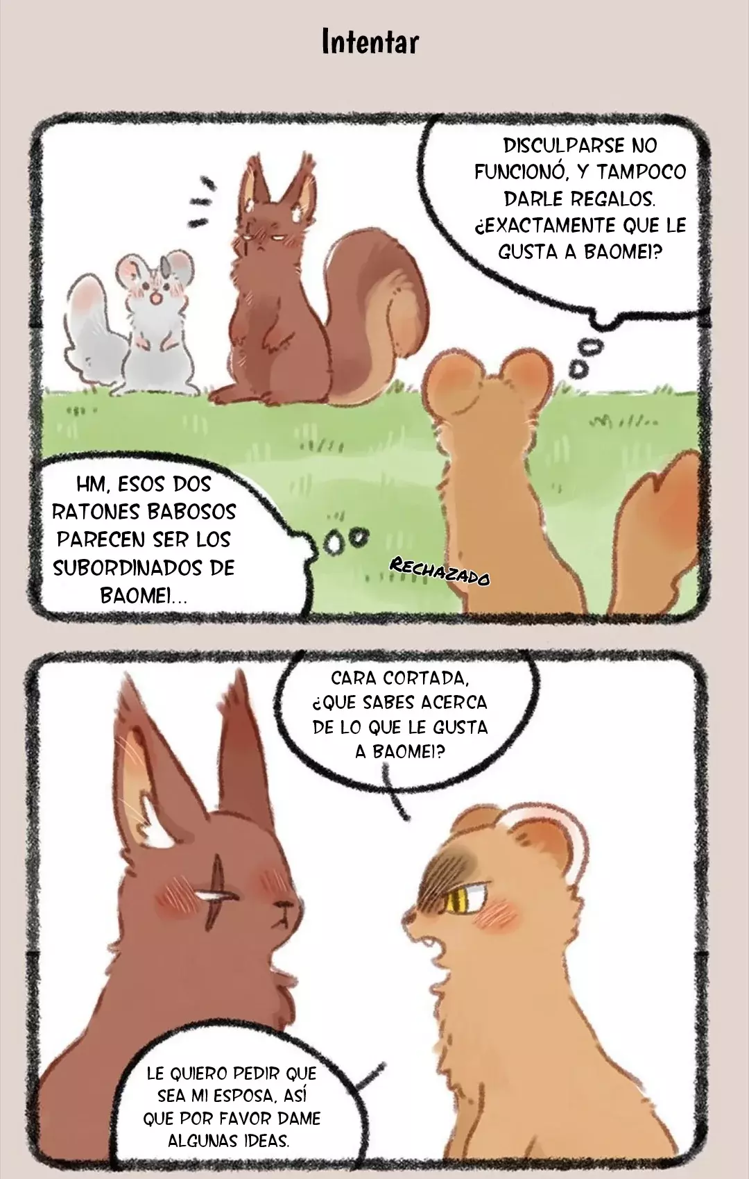 Página 5