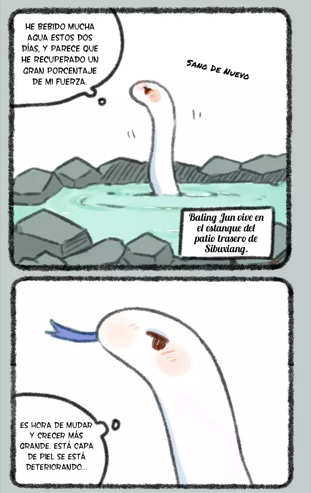 Página 2