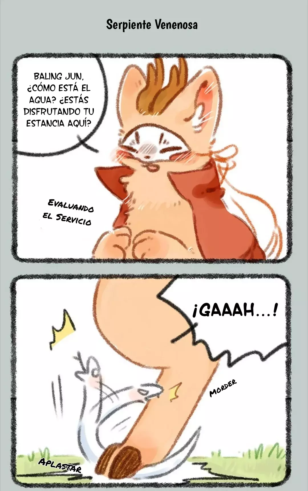 Página 5