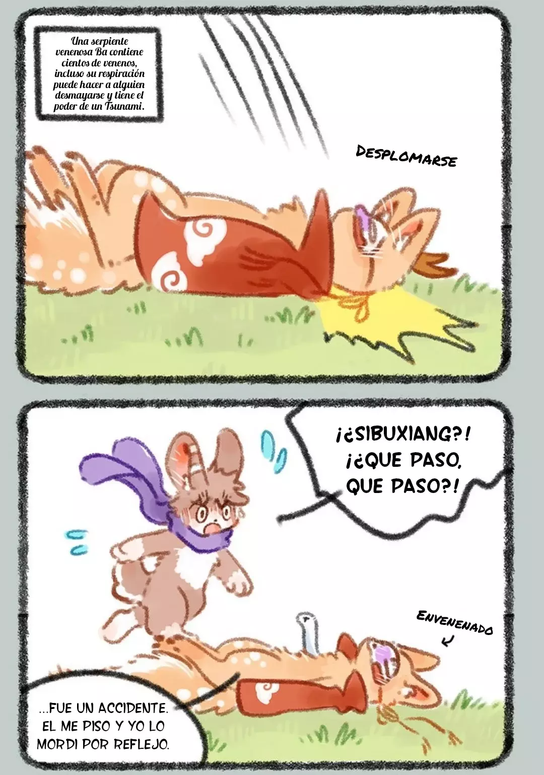 Página 6