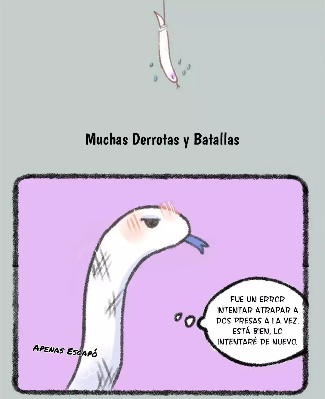 Página 5