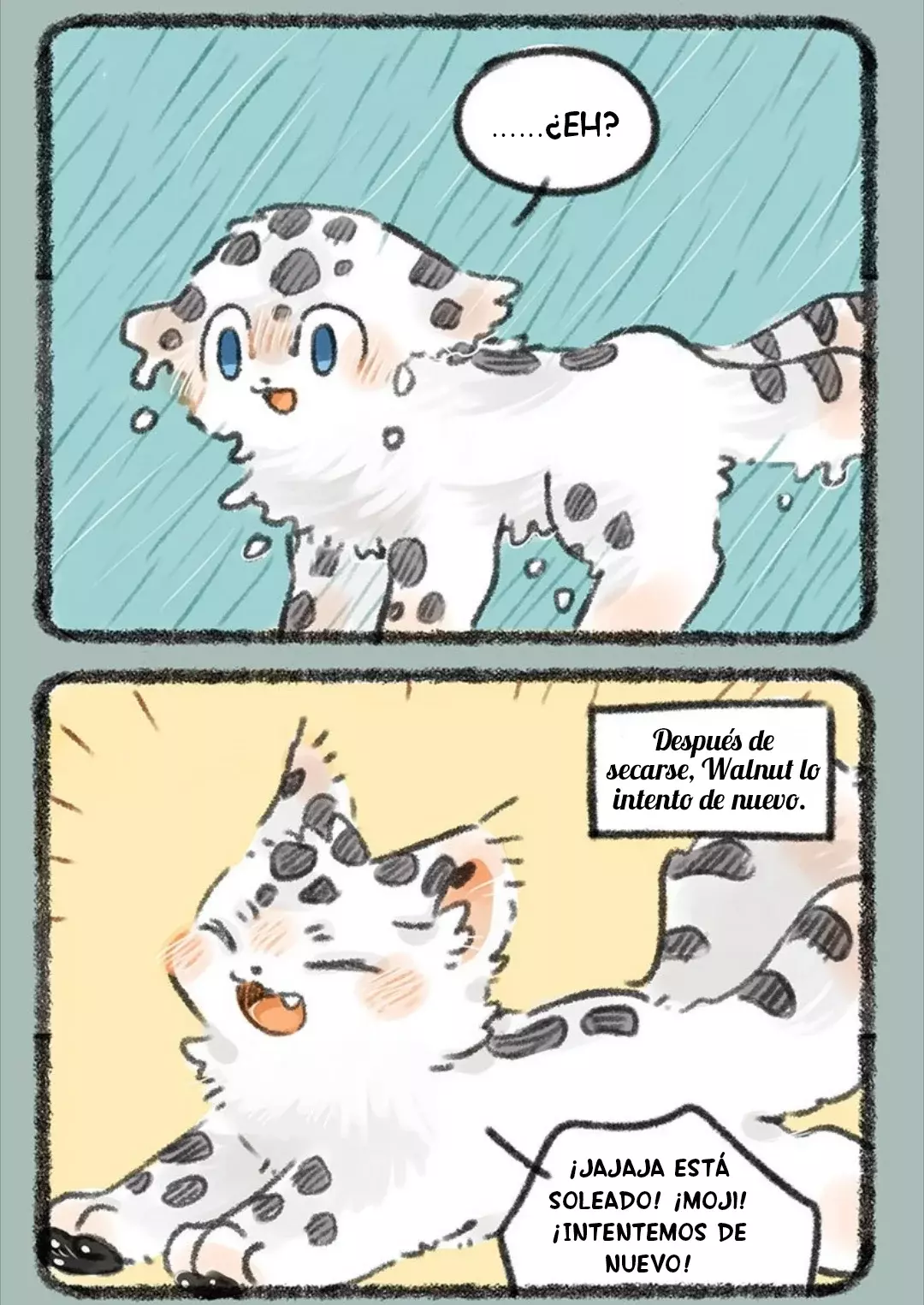 Página 3