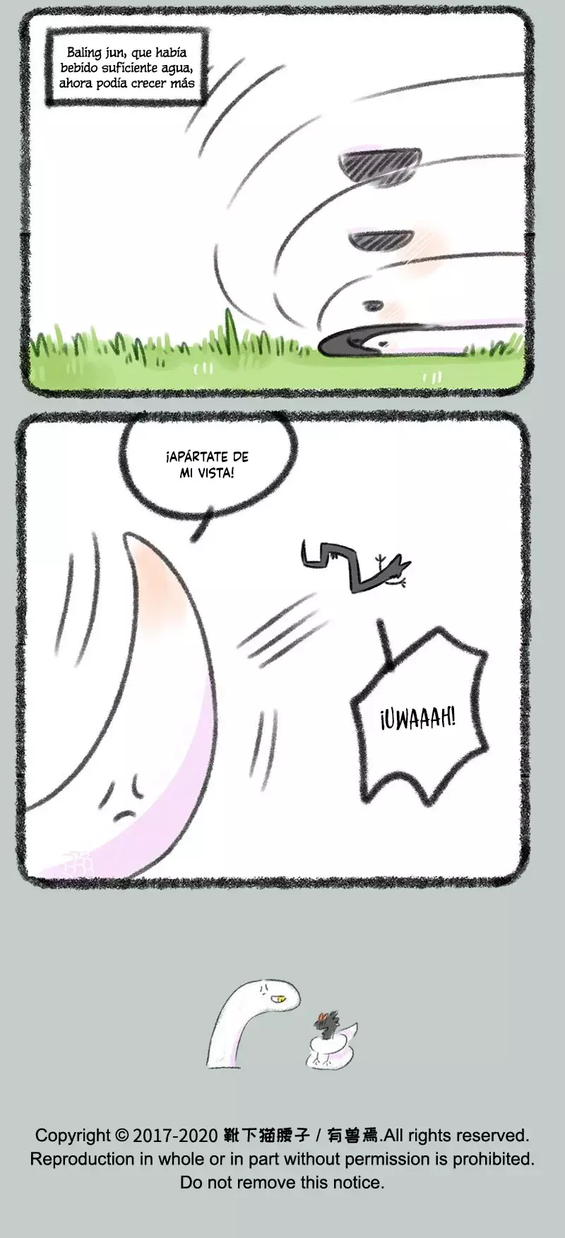 Página 7