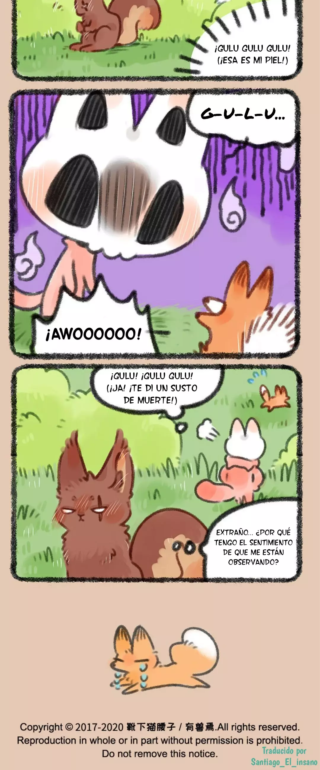 Página 4