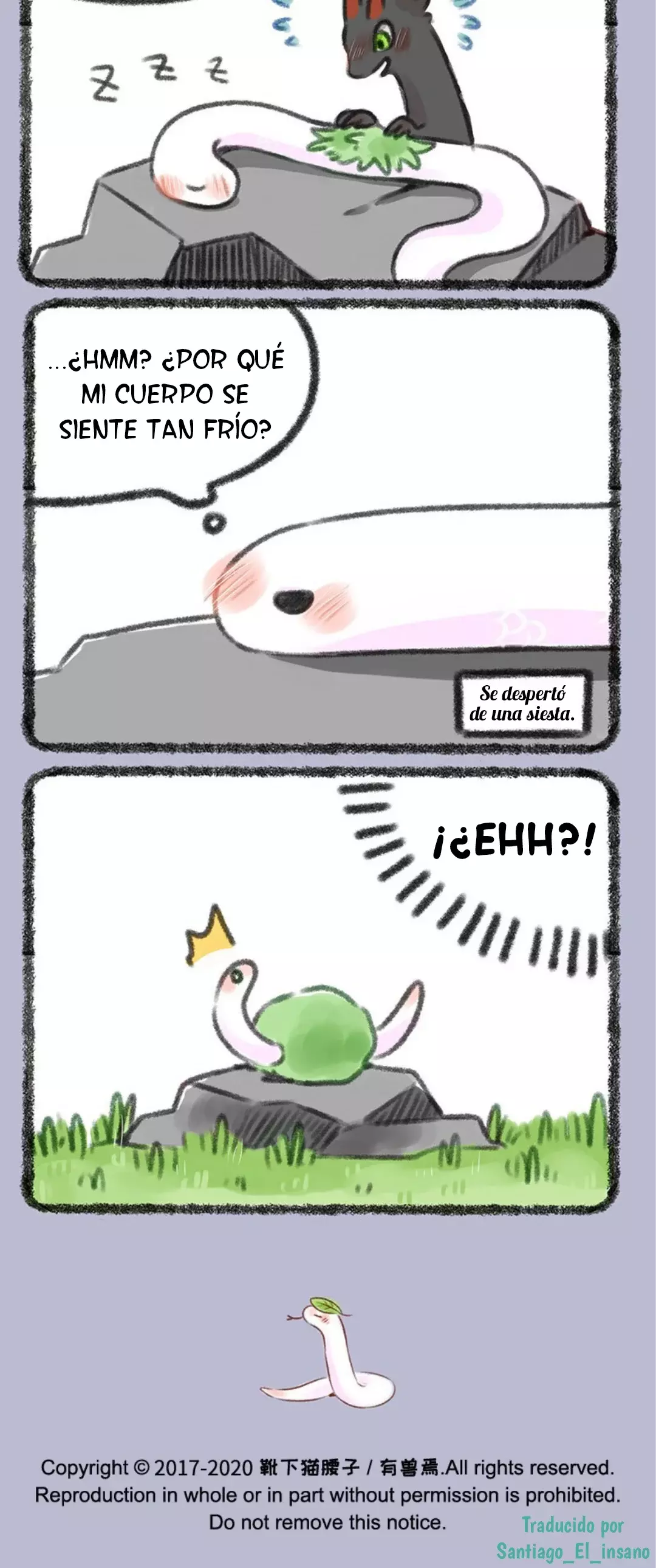 Página 4