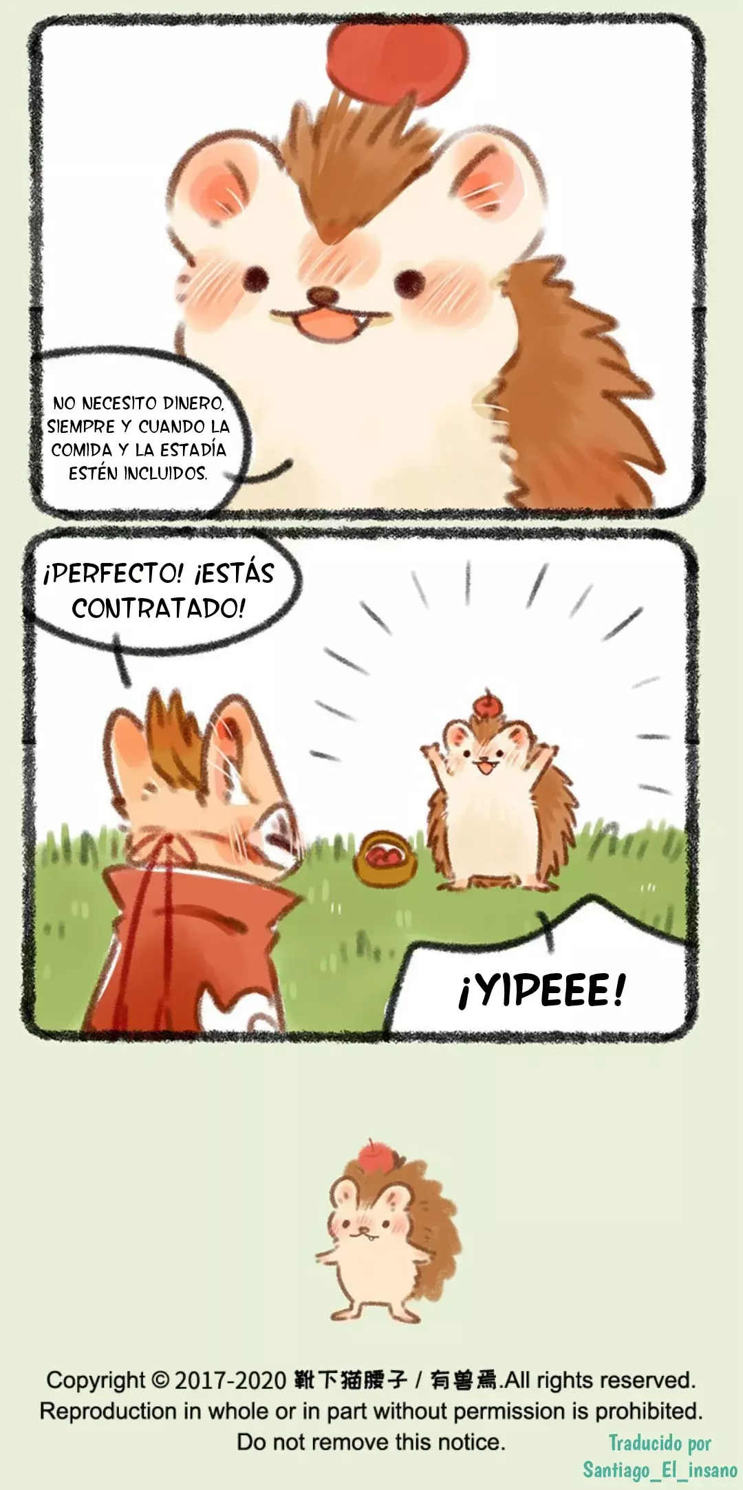 Página 6