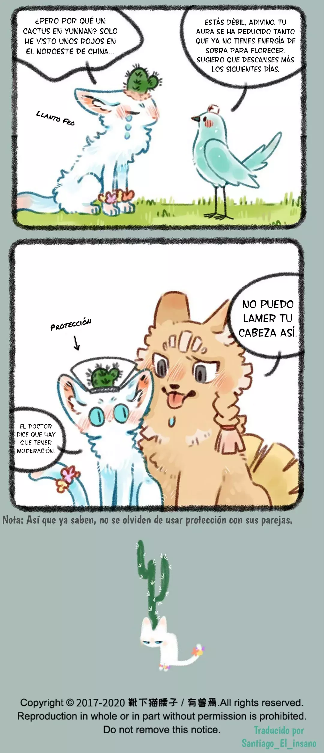 Página 6
