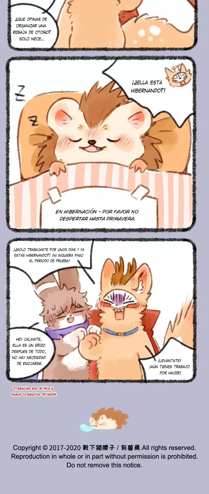 Página 3