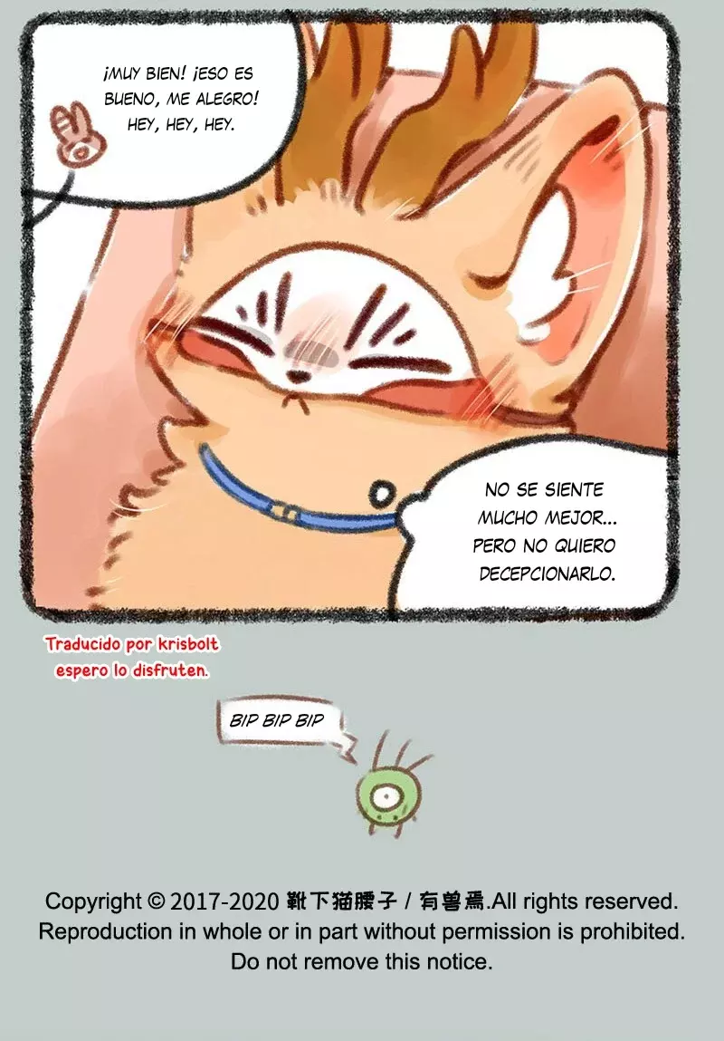 Página 7