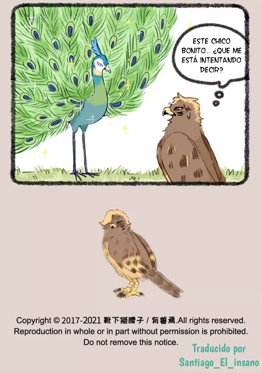 Página 7