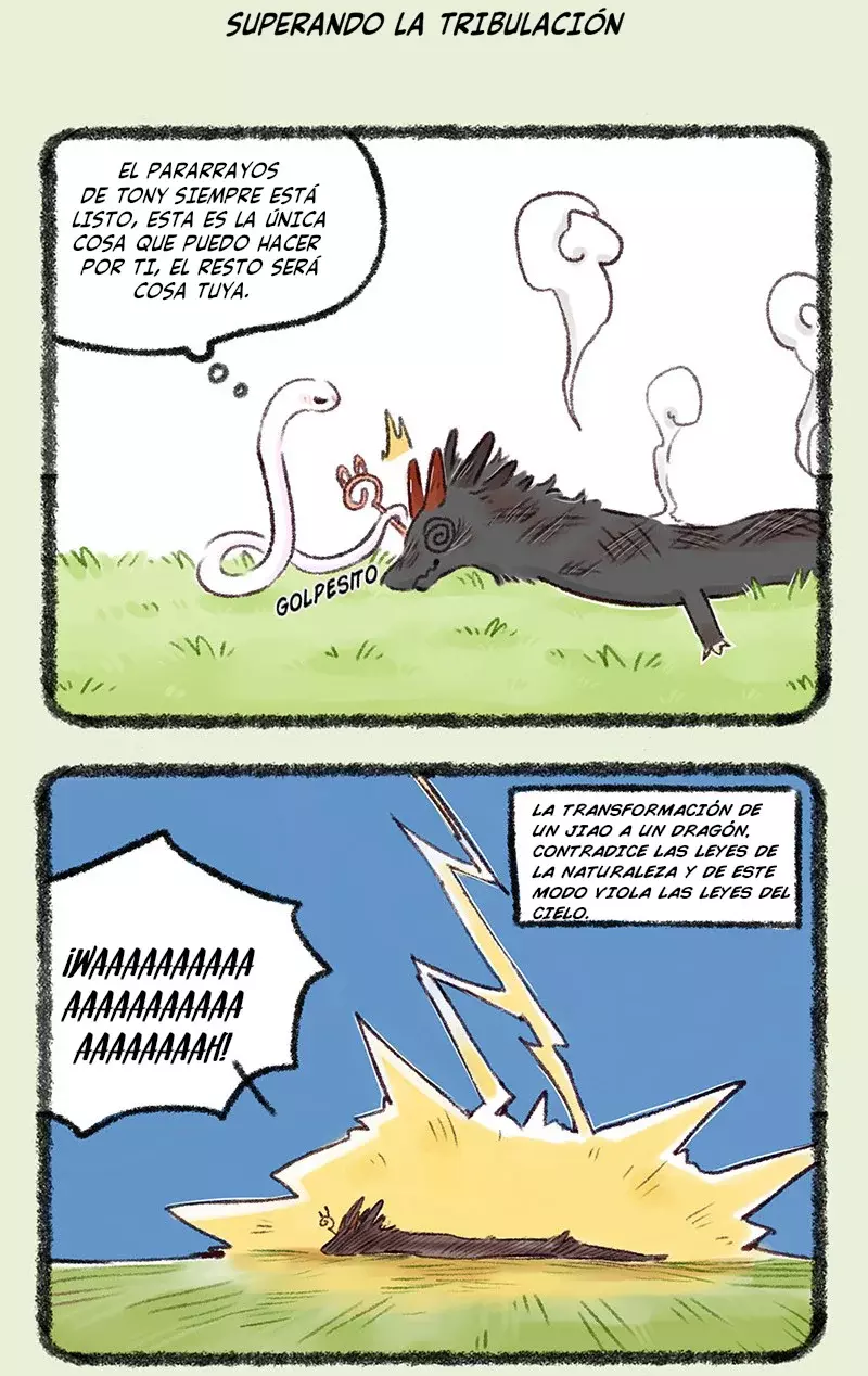 Página 5