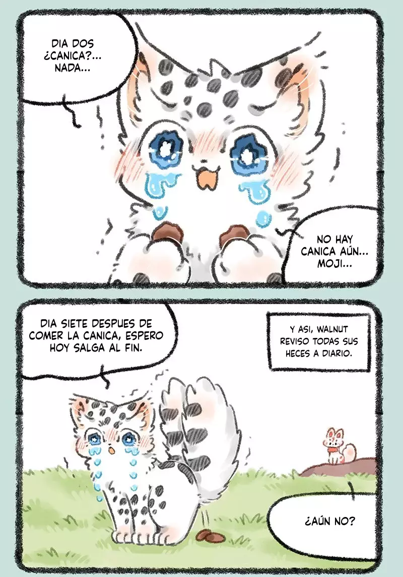 Página 5