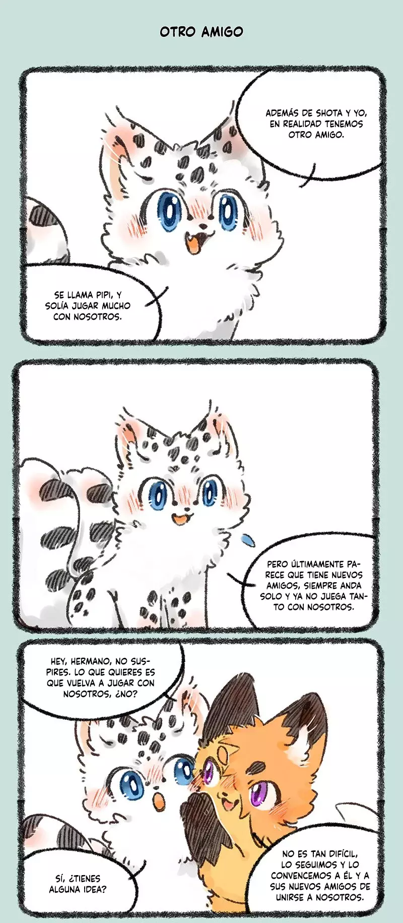 Página 5