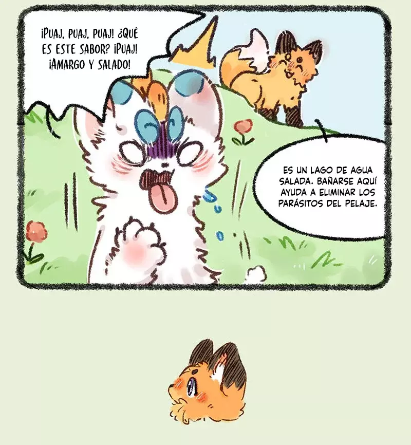 Página 4