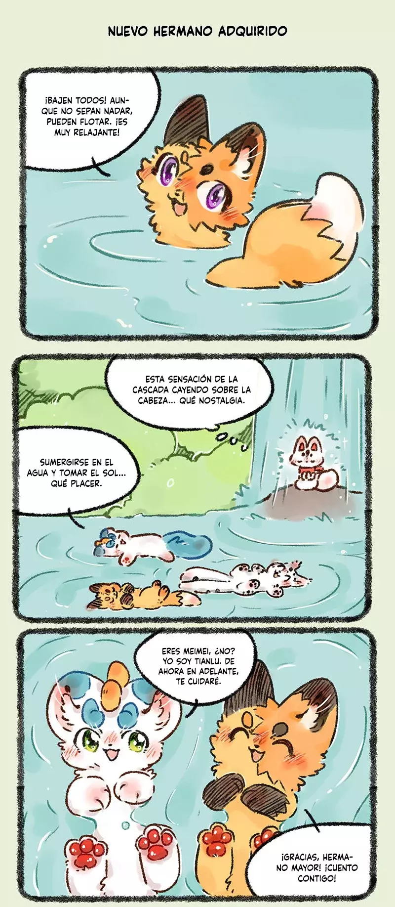 Página 5