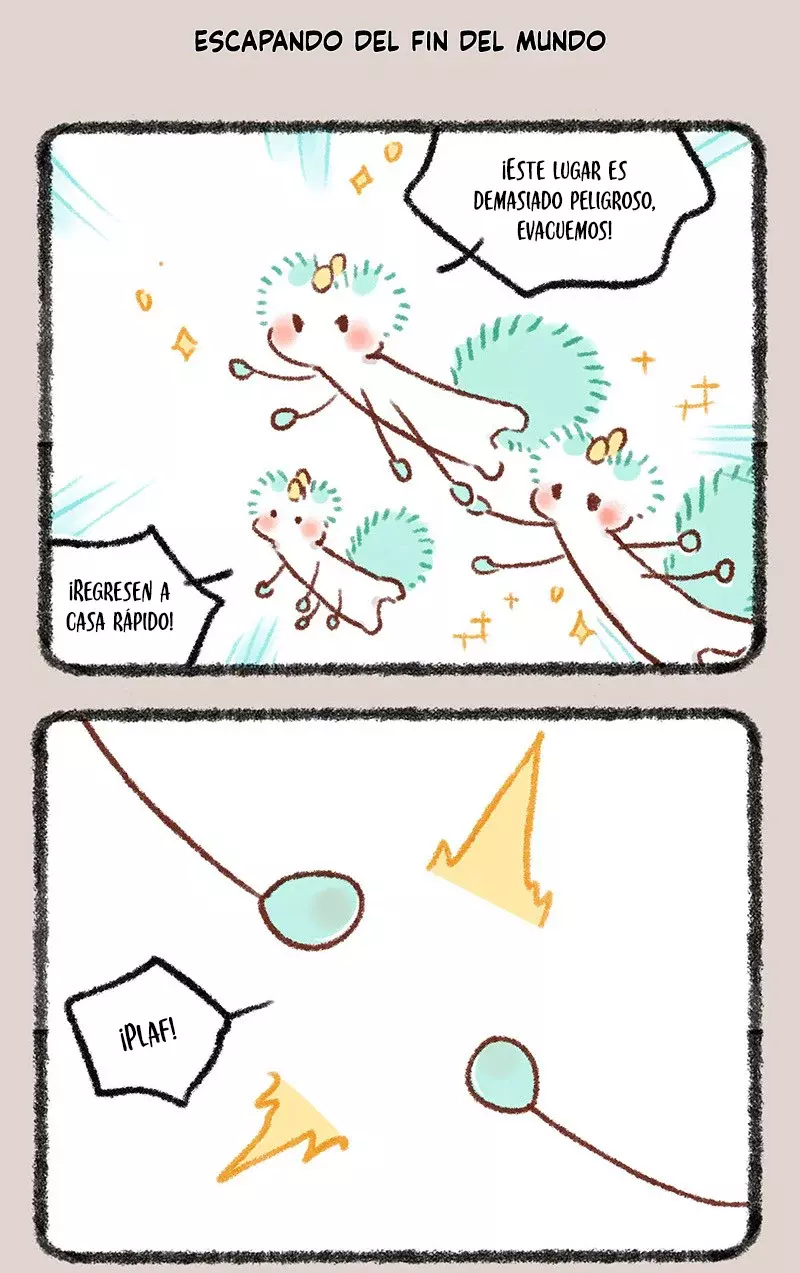 Página 5