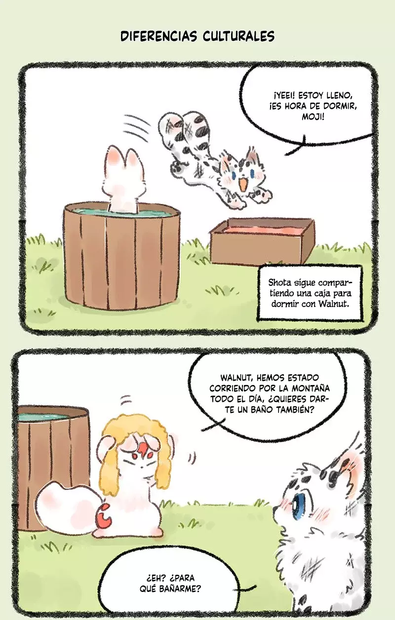 Página 5