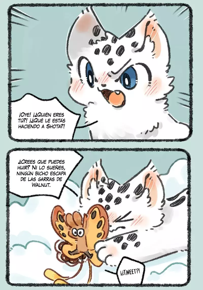 Página 5