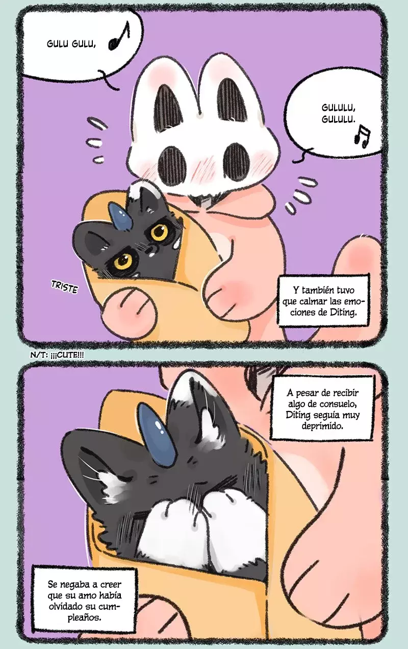 Página 5