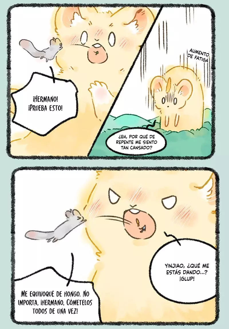 Página 5