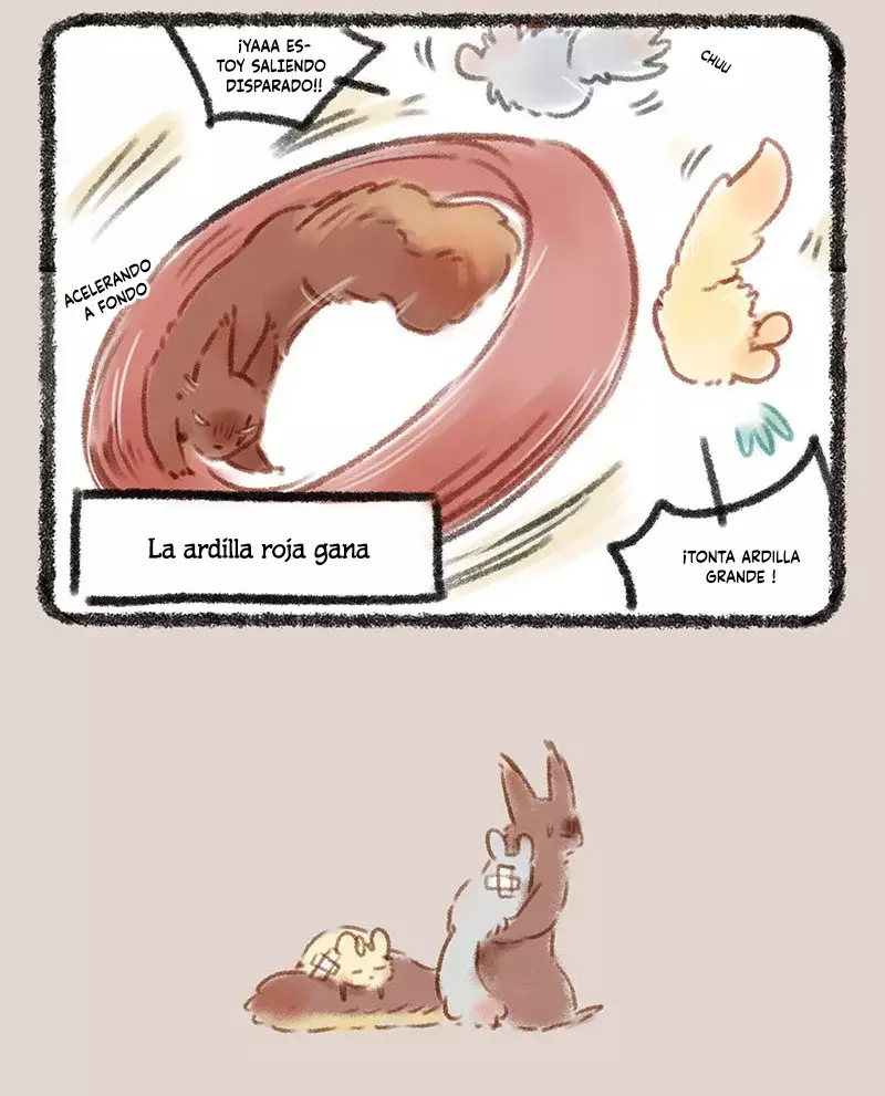 Página 4