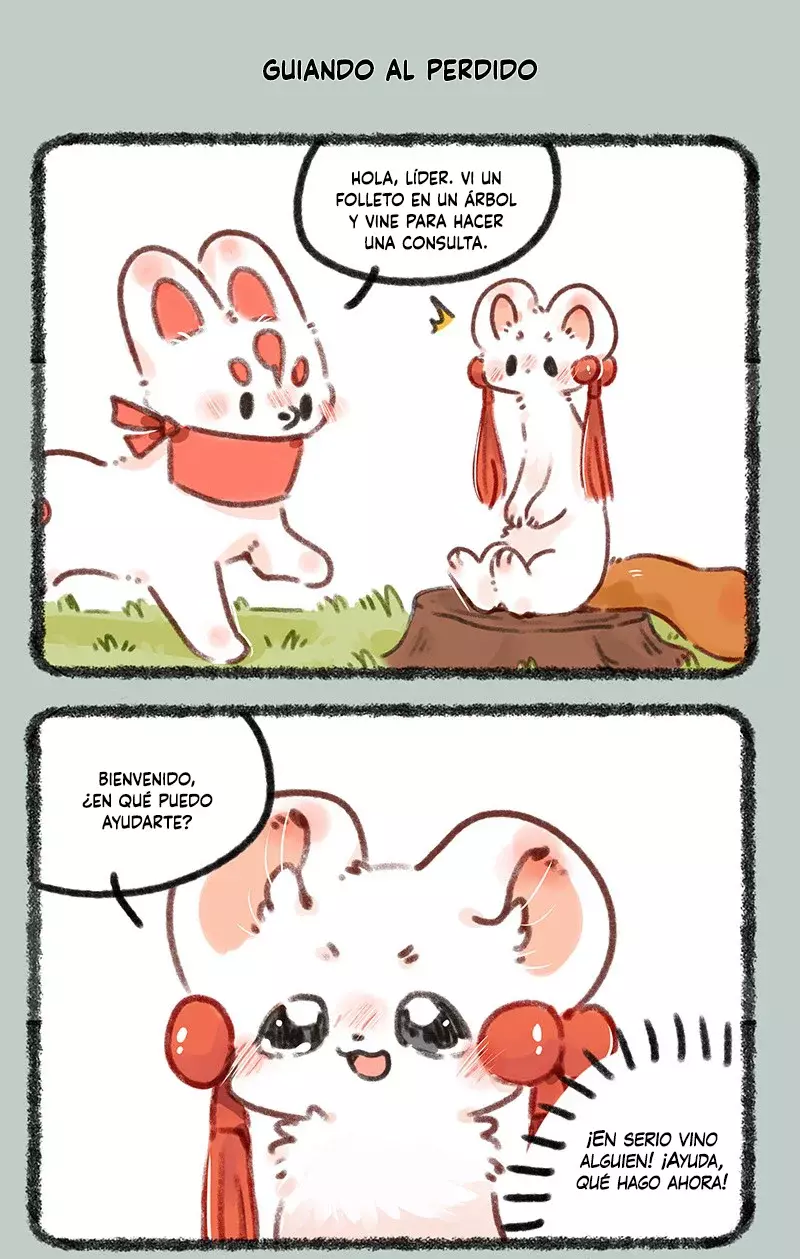 Página 5