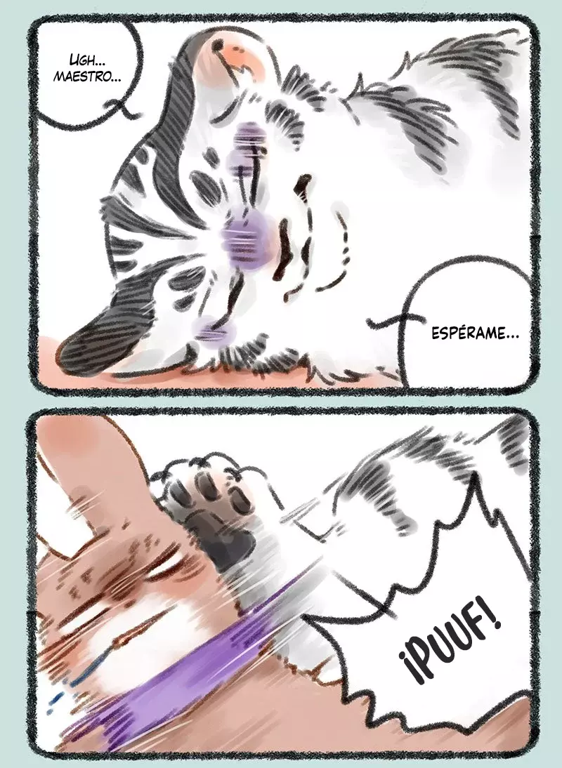Página 6