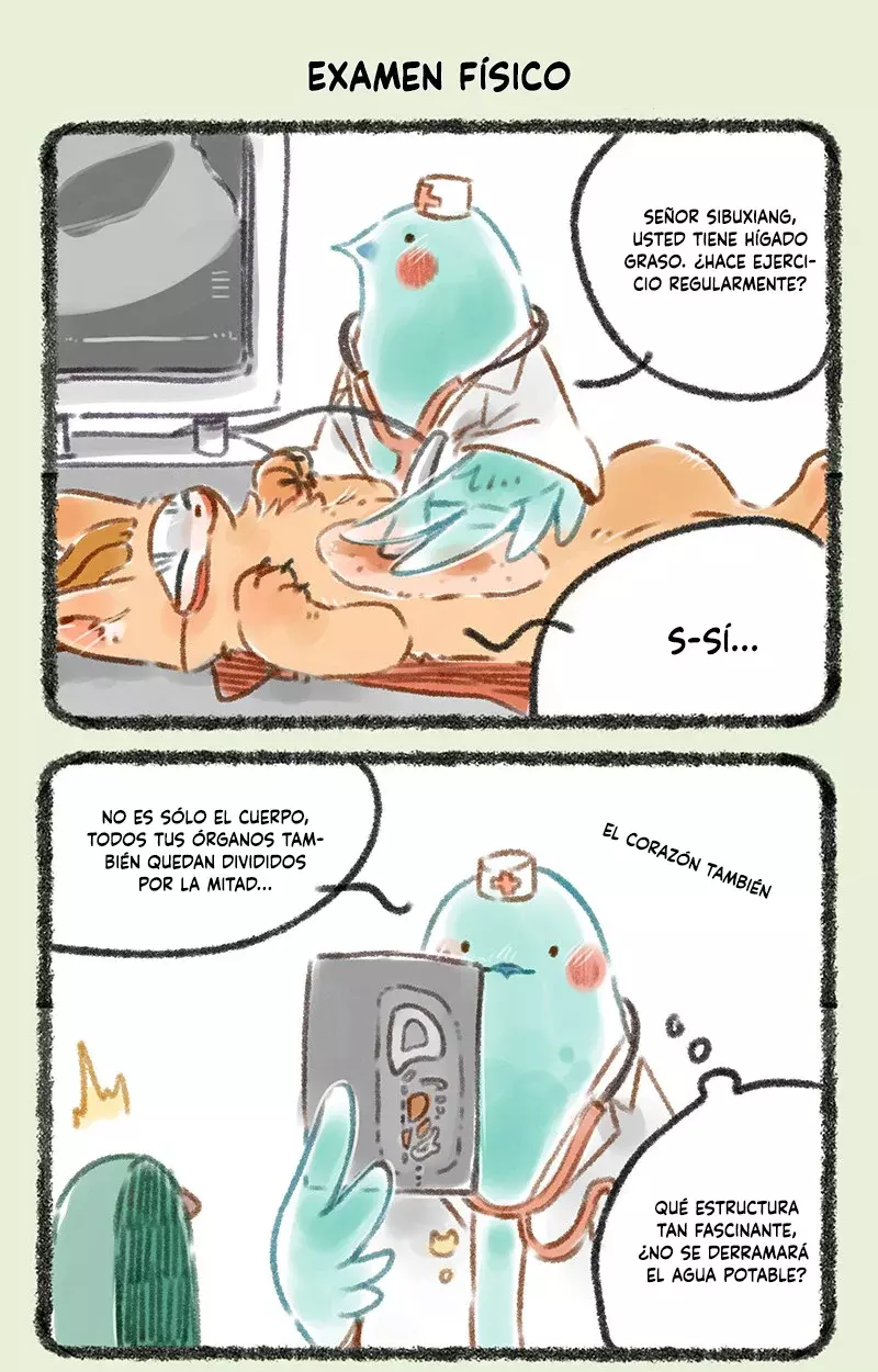 Página 5