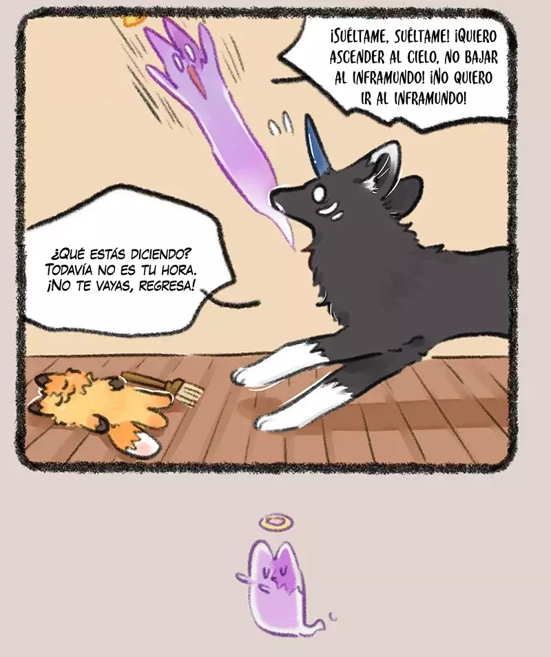 Página 7