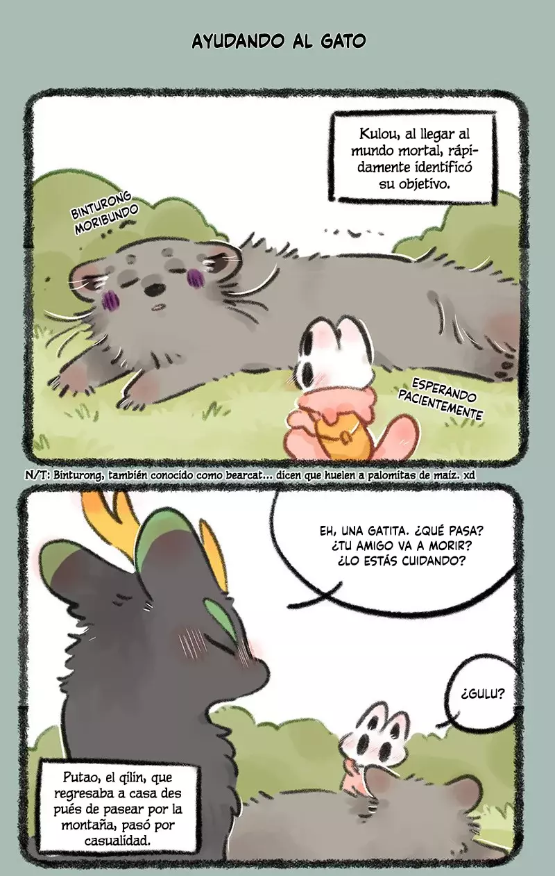 Página 5