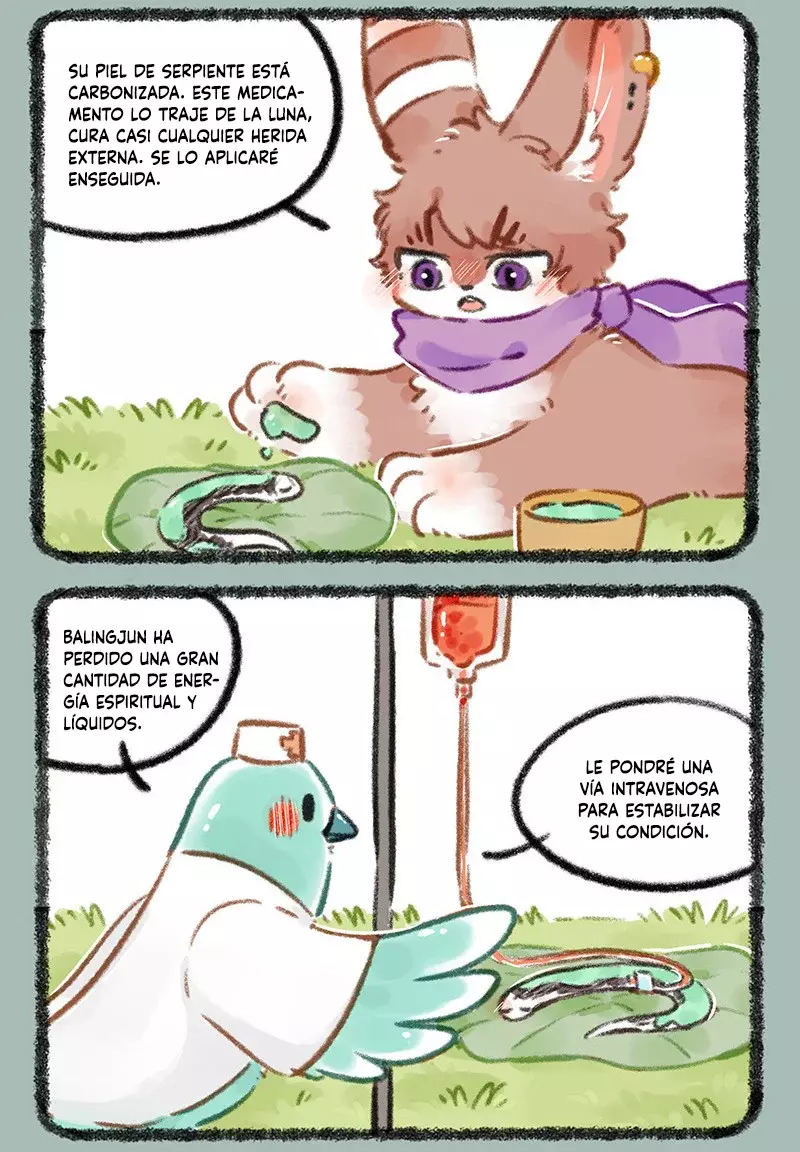 Página 5