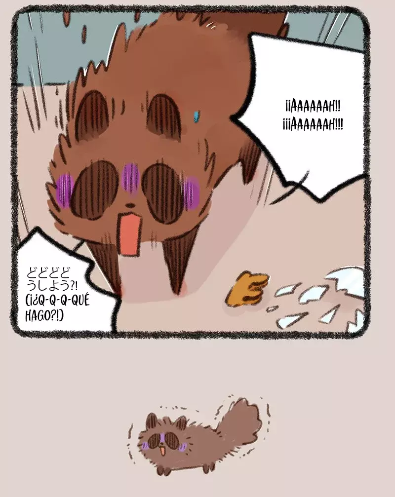 Página 7
