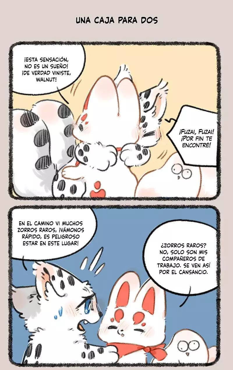 Página 5