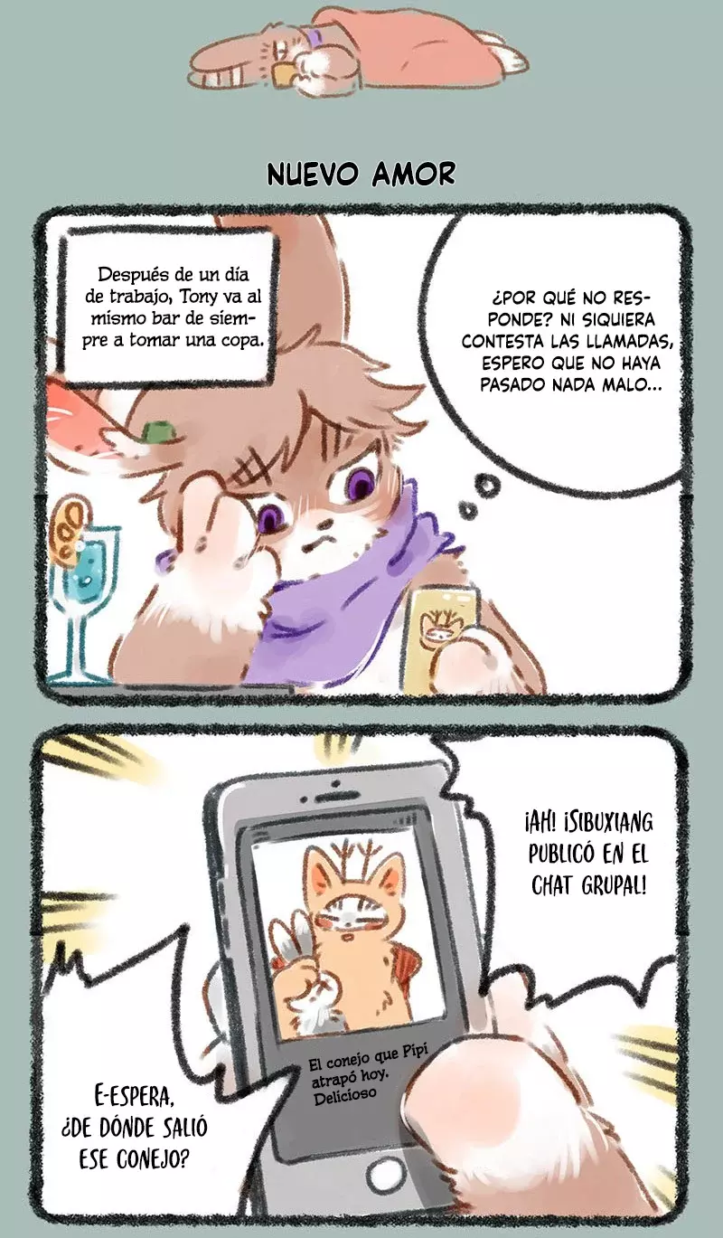 Página 5