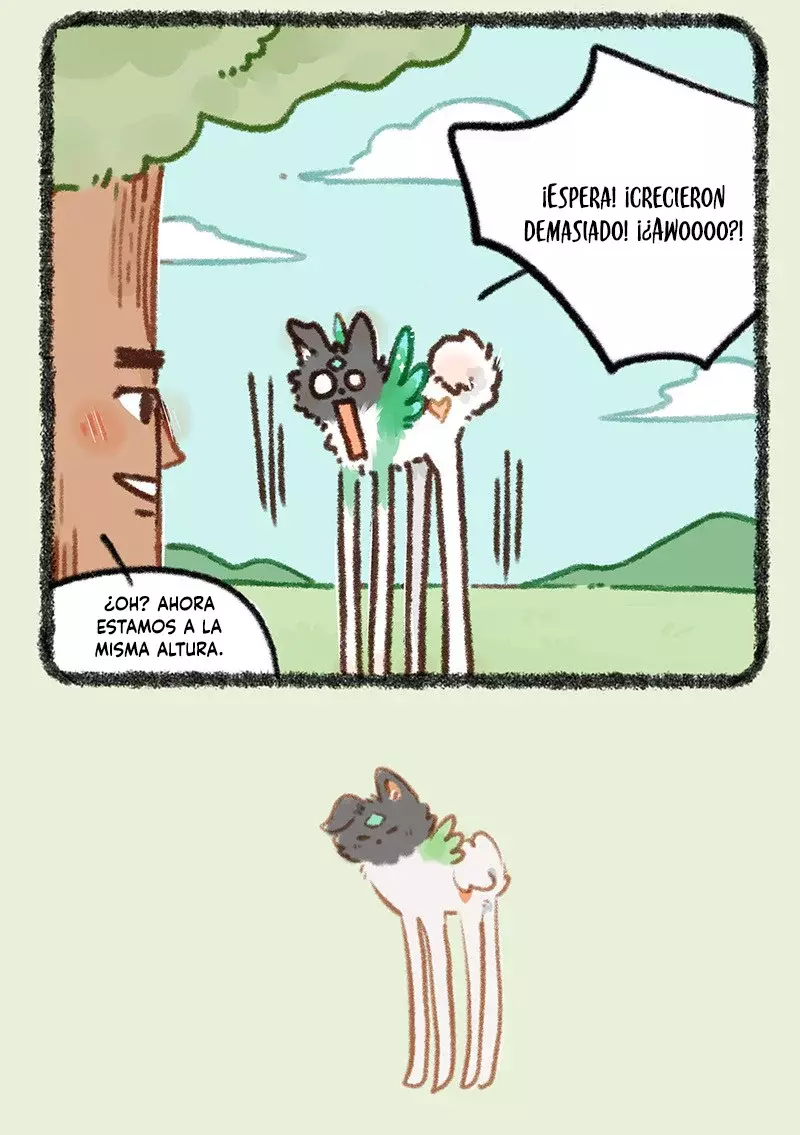 Página 4
