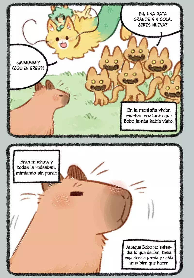 Página 3