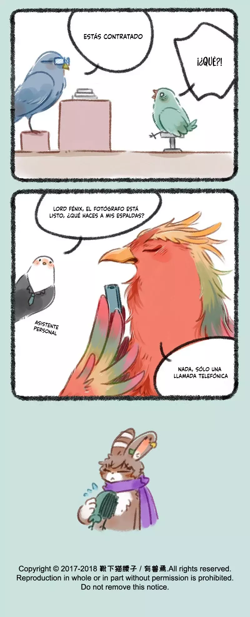 Página 5